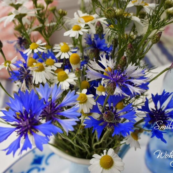 Kornblumen, Kamillen und Einblicke in den Wintergarten