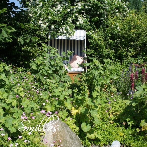 Blumen und andere schöne Dinge