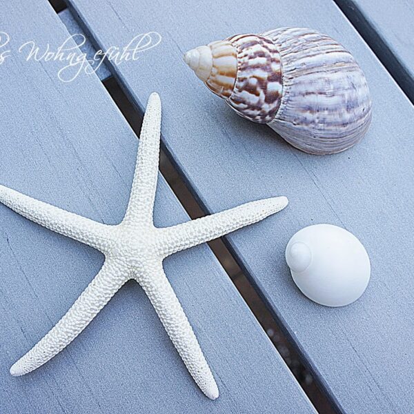 Bücherliebe: Coastal Living – Beach House Style