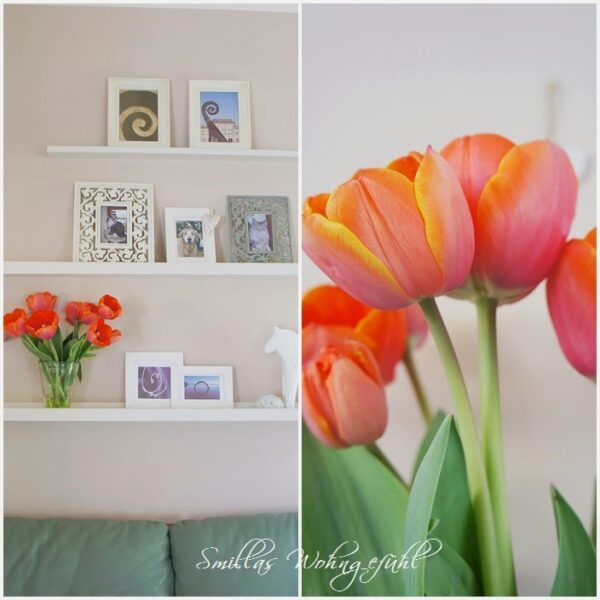 ein letztes Mal Tulpen…