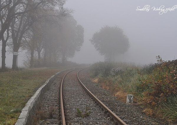 Novembernebel
