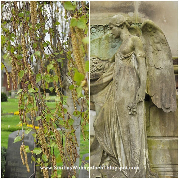 Foto-Spaziergang auf dem Riensberger Friedhof
