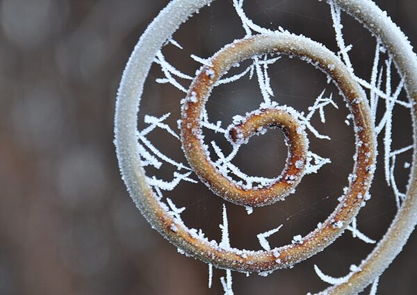 [BÜCHERLIEBE] und Frostbilder