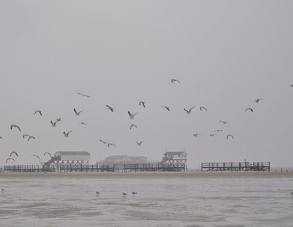 St.Peter-Ording im Winter & eine Empfehlung für die Unterkunft