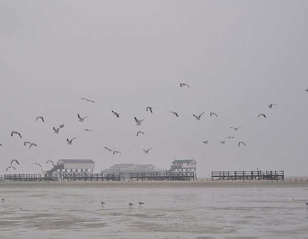 St.Peter-Ording im Winter & eine Empfehlung für die Unterkunft