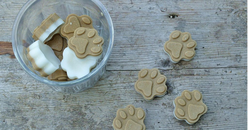 natürliche Mittel gegen Zecken und Flöhe bei Hunden Smillas Wohngefühl