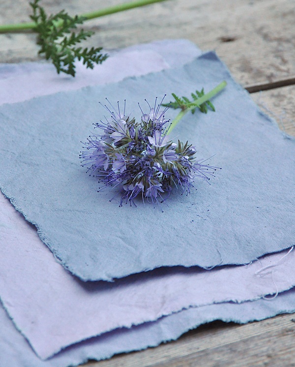 Stoff naturlich farben
