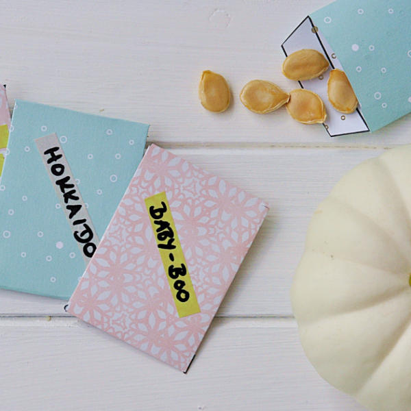 DIY : Samentütchen für die nächste Sommerblüte. Mit Freebie zum Download