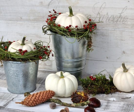 natuerliche Herbst deko