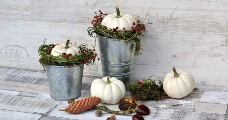 natuerliche Herbst deko