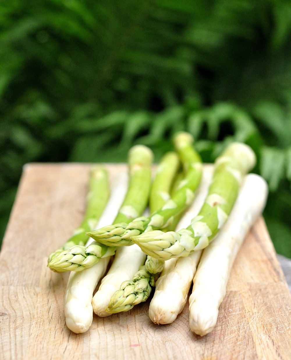 Weisser und gruener Spargel