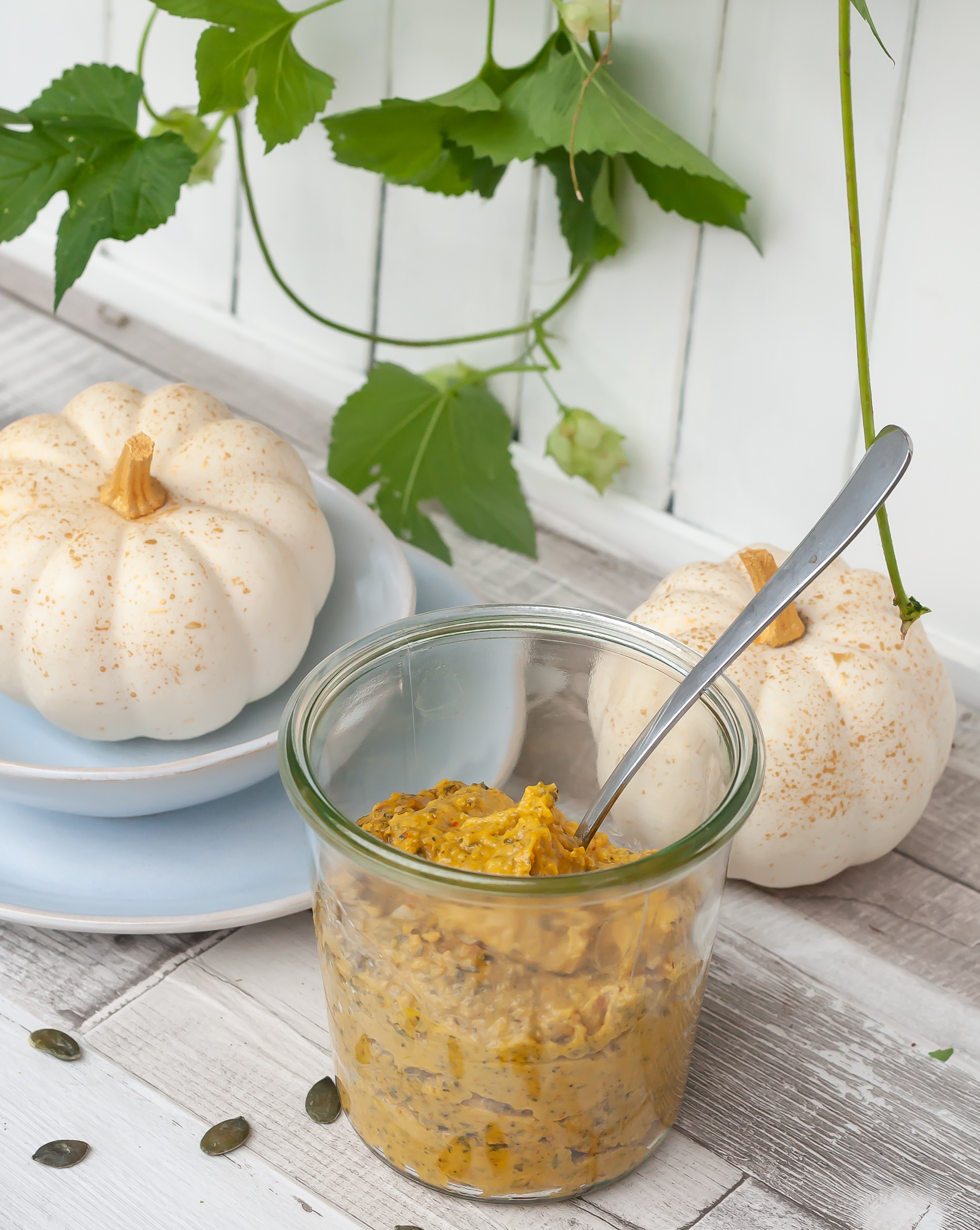 Kürbis-Pesto selber machen Rezept