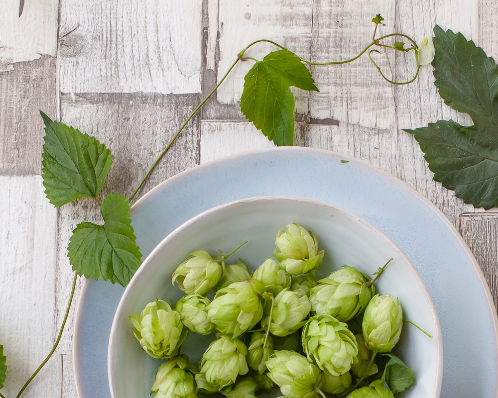 Deko mit Kürbis und Hopfen