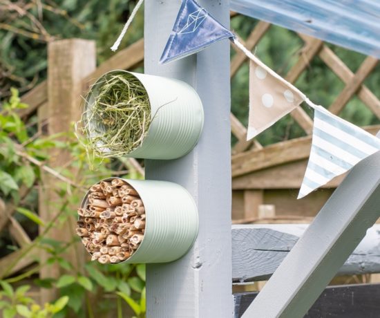 Insektenhotel selber bauen