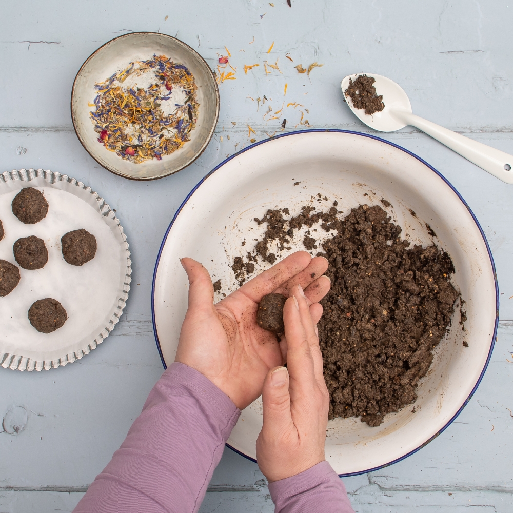 seedbombs selber machen anleitung