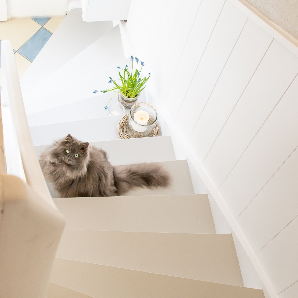 Blick von oben auf renovierte treppe diy