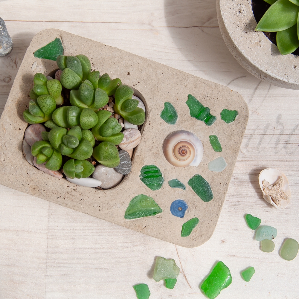 DIY beton blumentopf mit strandfunden beachhouse feeling