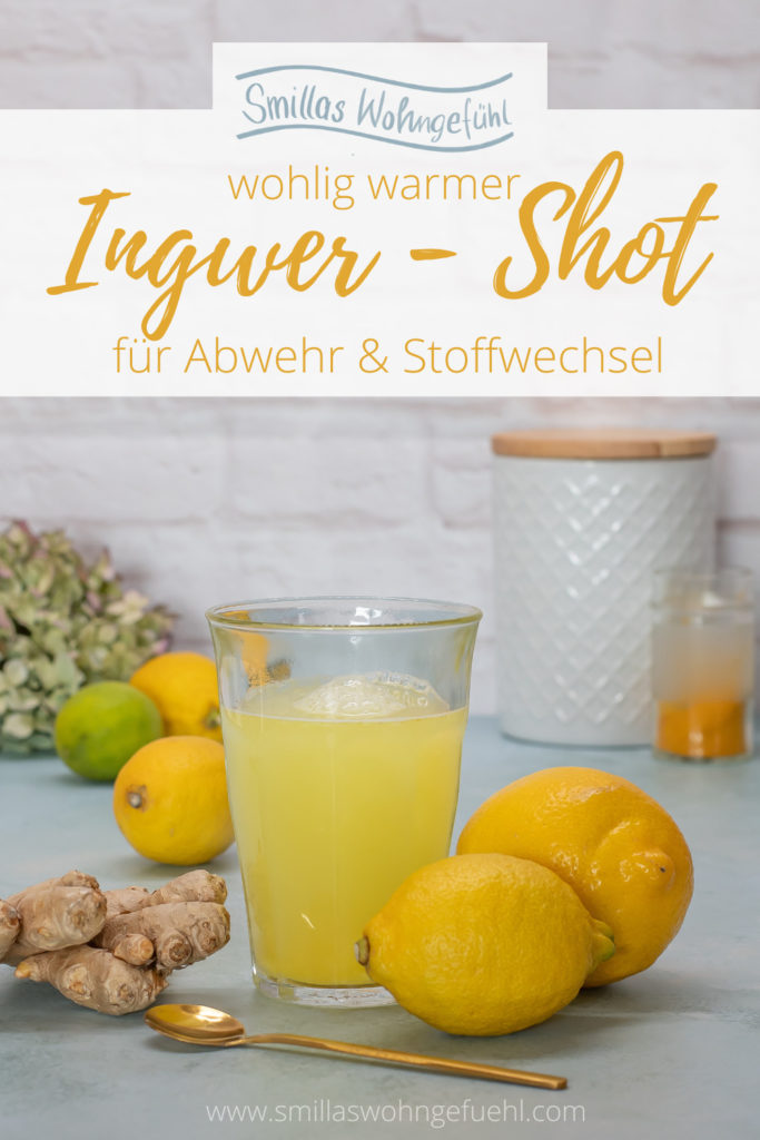 Ingwer Shot Rezept für Abwehr und Stoffwechsel